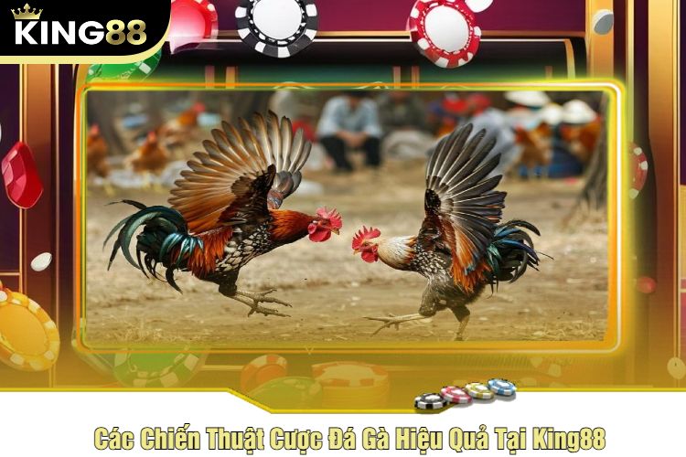 Các Chiến Thuật Cược Đá Gà Hiệu Quả Tại King88